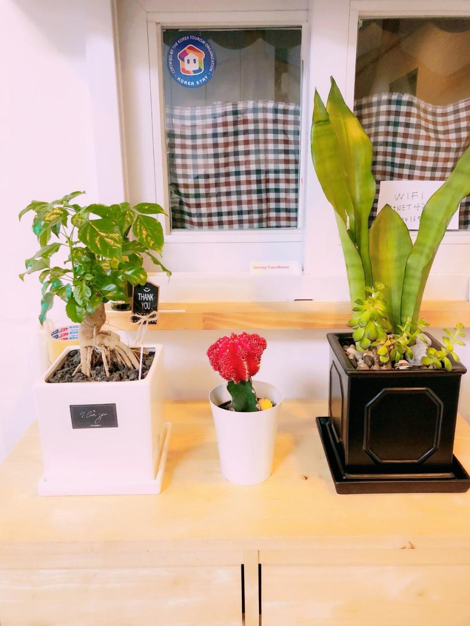 סיאול Sarang Guesthouse Dongdaemun מראה חיצוני תמונה